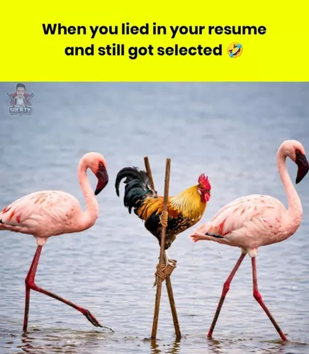 The Resume vs Reality Gap: An #HR Perspective in Today’s Job Market