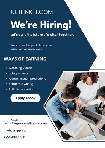 NETLINK AGENCIES KENYA:Earn through watching videos,doing survey questions,affiliate marketing and writing blogs etc.