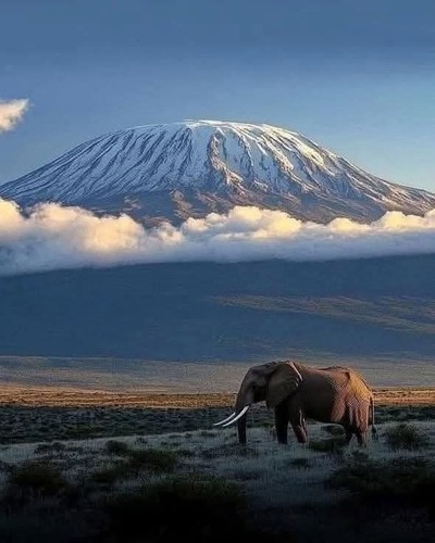 Beautiful view from Amboseli national park, Kenya 🇰🇪❤️  with a view of Mt Kilimanjaro.