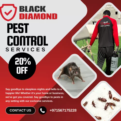 Experience convenience with our easy-to-use service platform, allowing you to schedule appointments, access helpful resources, and manage your pest control needs effortlessly. With responsive customer support and reliable year-round solutions, maintaining a pest-free environment has never been easier.