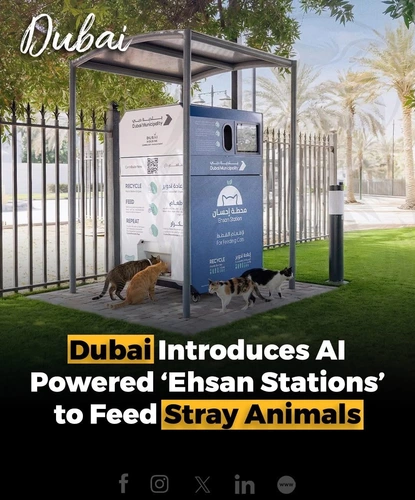 Dubai Municipality has launched the ‘Ehsan Stations’ initiative, featuring AI-powered feeding devices to care for stray animals across the emirate.