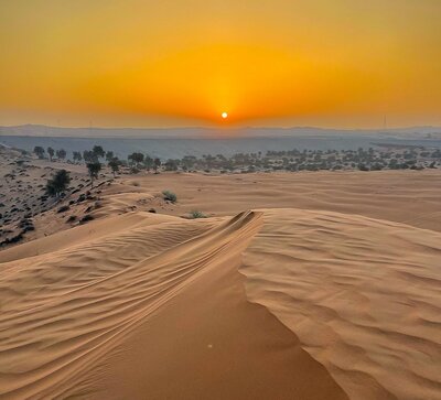 Sunrise Desert Safari Abu Dhabi – Early Morning Desert Tour