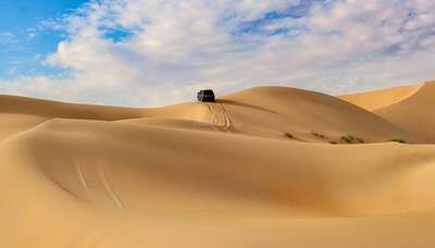 Liwa Desert Safari from Abu Dhabi | Full-Day Desert Tour