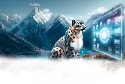 Business Management Software &amp; Custom Solutions | eSpine