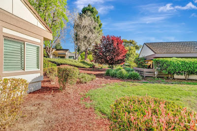 How Can First Time Buyers Benefit From Condos for Sale?