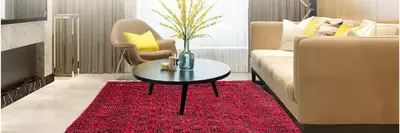 Kashmiri Silk Carpets for Living Room: Add Timeless Charm