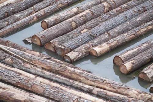 B.C. To Dedicate Some Provincial Timber Supply To Value-Added Industry