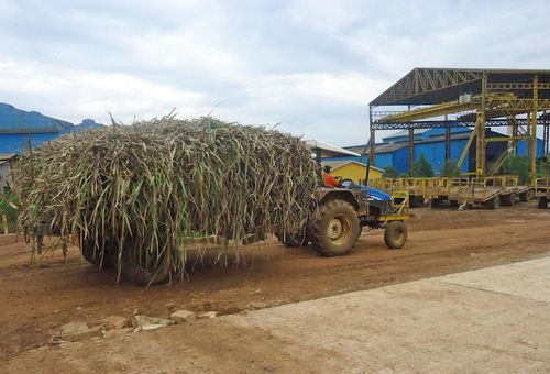 West Kenya Sugar Adopts Digicane Technology To Improve Cane Farming