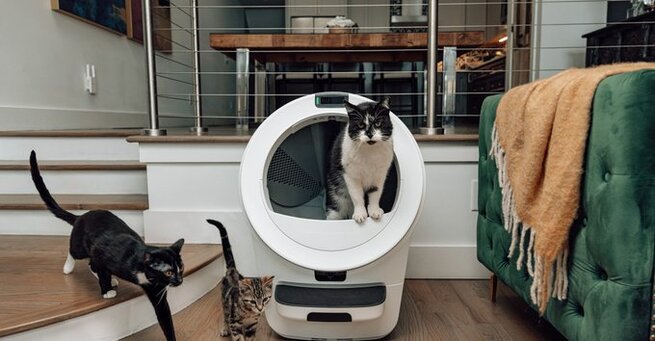 Whisker’s AI Litter-Robot 5 Spots Your Cat
