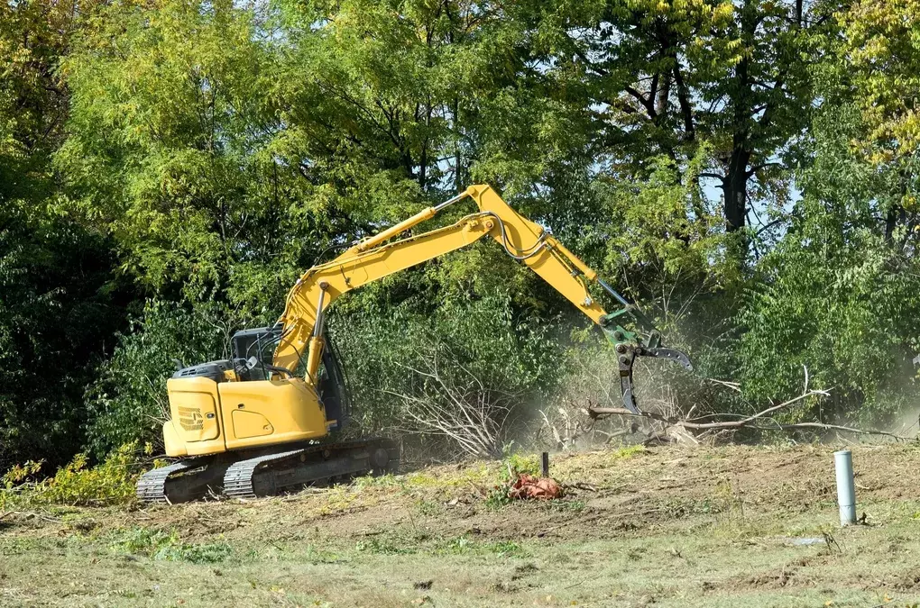 What to Expect from Professional Land Clearing Services in Wise County, TX