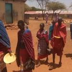 Over 470,000 Livestock Died Due To Drought