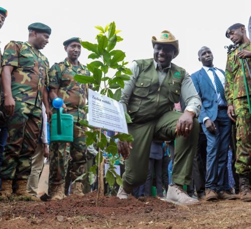 Youths Turn Up In Large Numbers For Forest Ranger Recruitment
