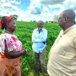 Gov’t To Prioritize Digitization In Agriculture Sector To Achieve Food Security Plans - CS Linturi