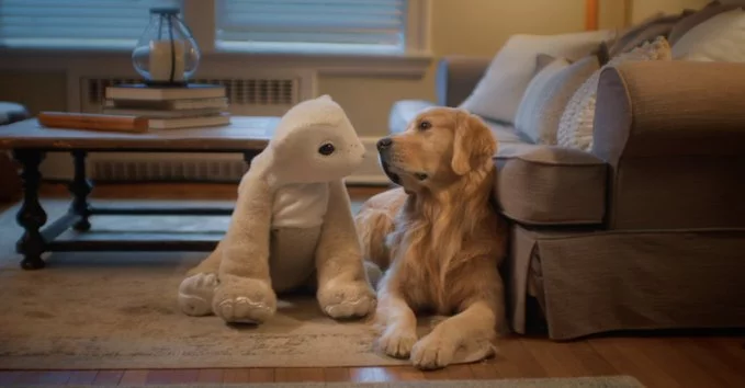 Roomba Creator Returns with a Cuddly Robot Pet: Meet the Furry Companion