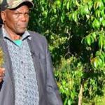 Miraa Processors Demand Law To Legalise Value Addition Of Crop