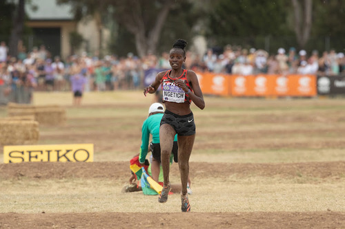 Ngetich Storms To Victory In Kapsokwony Cross-Country Meet