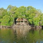 Kilifi's 'Garden Of Eden' Where Lovers Conceive Twins