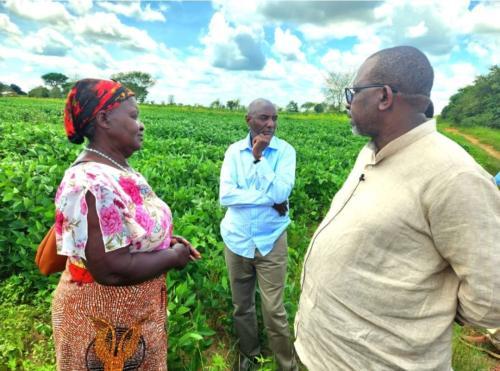 Gov’t To Prioritize Digitization In Agriculture Sector To Achieve Food Security Plans - CS Linturi
