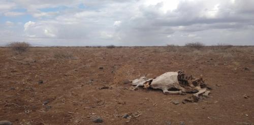 Kenyans In Drought Hit Areas Fear For The Worst Should Doctors Down Tools