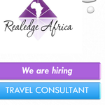 Travel Consultant Needed