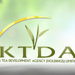 Kenya Tea Development Agency Hiring In 5 Sections