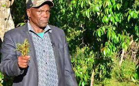 Miraa Processors Demand Law To Legalise Value Addition Of Crop