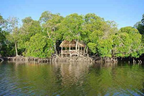 Kilifi's 'Garden Of Eden' Where Lovers Conceive Twins