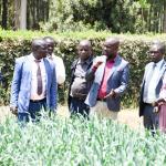 Eldoret ASK Show Set To Return With More Exhibitors Expected