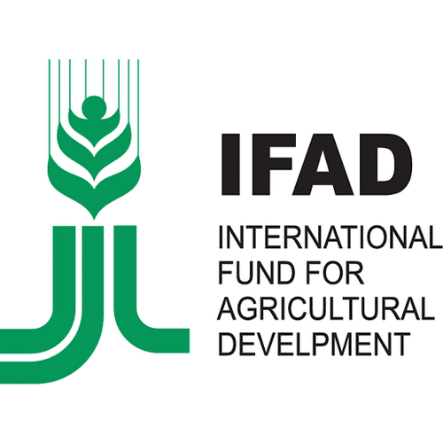 IFAD Hiring Driver / Clerk