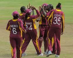 Matthews Stars As Pakistan Fall Short At T20 World Cup