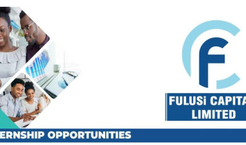 Internship Opportunity Open At Fulusi Capital