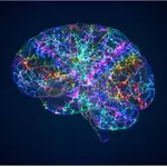 New Research Reveals The Ages When The Brain Changes Most