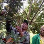 Insurance Firm AIG To Pay Sh48m For Shipment Of Nuts Rejected In US