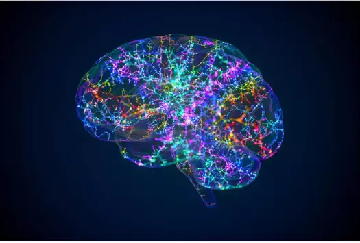 New Research Reveals The Ages When The Brain Changes Most