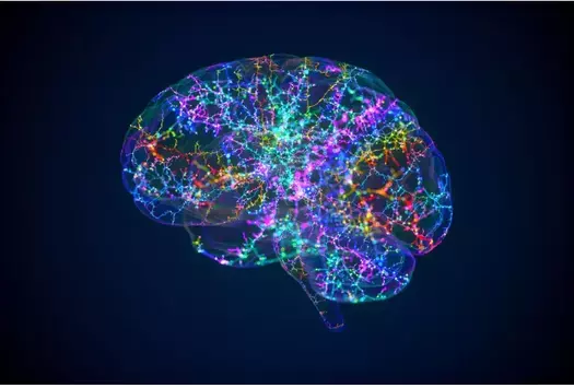 New Research Reveals The Ages When The Brain Changes Most