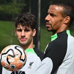 'They've Never Looked Like They Were New Here'