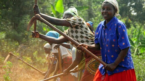 Campaigns To Have More Women Own Land Mooted
