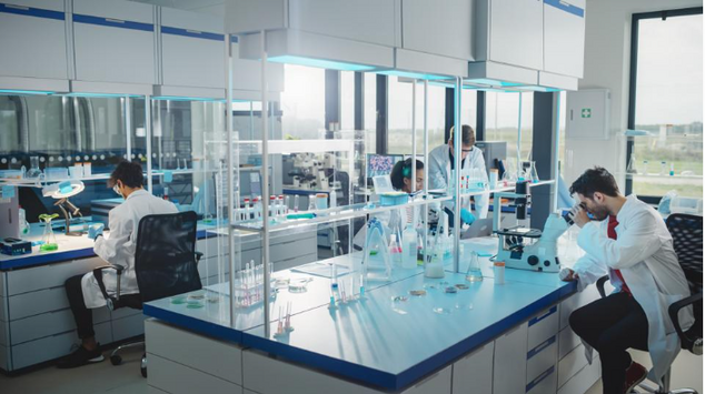 Monash University Global Innovation: How Australia’s Top University Is Expanding Worldwide