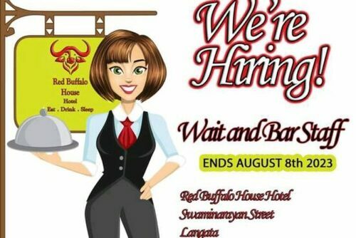 Red Buffalo Hotel Hiring Wait And Bar Staff