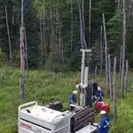 Environmental Consulting in Vancouver: Supporting Sustainable Development