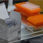 South Africa Records Two Imported Cholera Cases