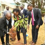 Govt To Streamline Charcoal Trade, Environment CS Tuya Says