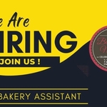 Bakery Assistant Needed