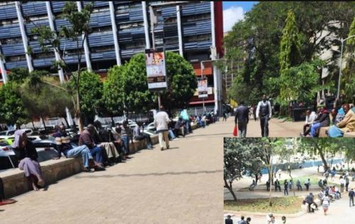 Newlook Aga Khan Walk Attracting Nairobians, But Many Want Shaded Spots