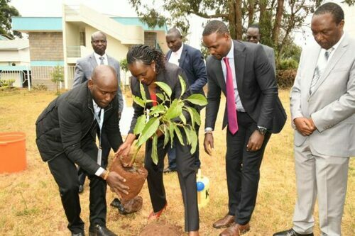 Govt To Streamline Charcoal Trade, Environment CS Tuya Says
