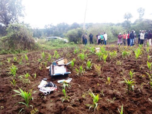 Night Guard Killed At Lare Primary School