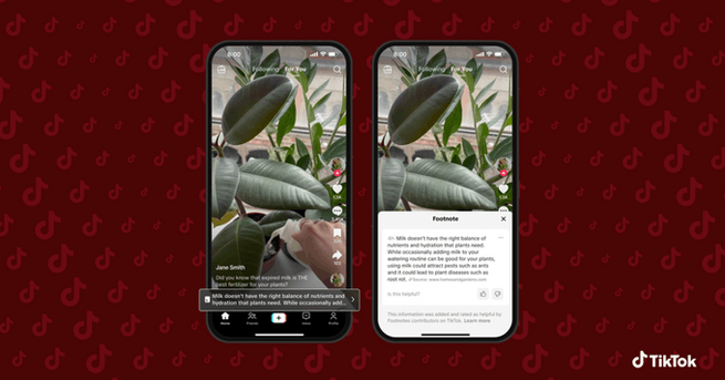 TikTok Footnotes: Community Fact-Checks