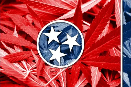 Tennessee’s Marijuana Legalization Bill: Pot For Potholes
