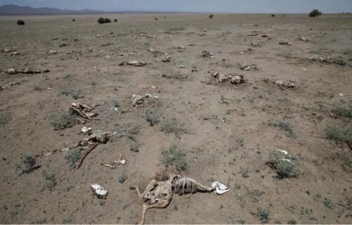 Child Eaten By Hyena As Drought Ravages Marsabit