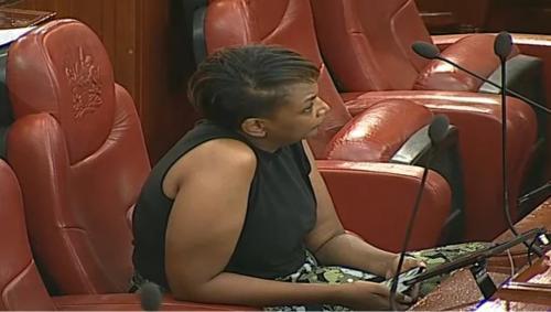 Senator Karen Nyamu Ejected From Chambers Over 'Inappropriate Dressing'